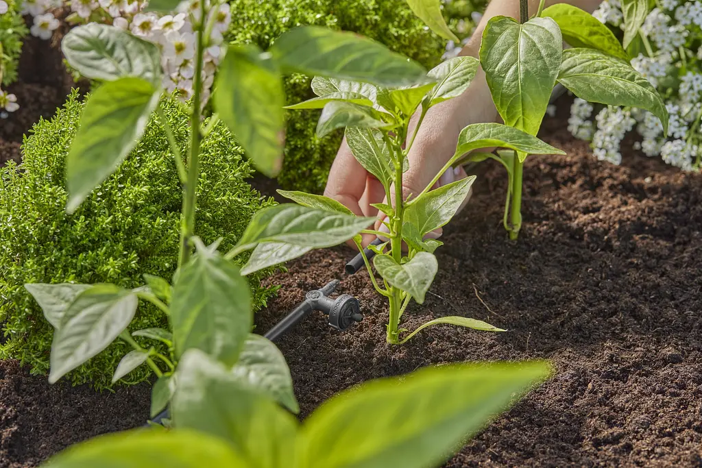 Крапельниця Gardena Micro-Drip-System внутрішня вирівнююча тиск 2 л/год, 10 шт (13312-20) - фото 2