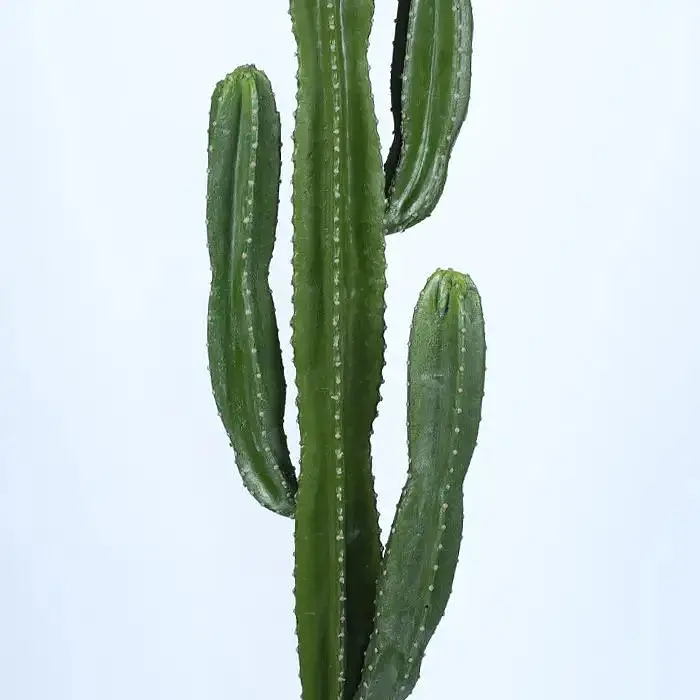 Штучна рослина Engard Cactus 155 cм (TW-40) - фото 4