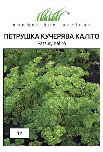 Насіння петрушки кучерявої Каліто 1 г Професійне насіння