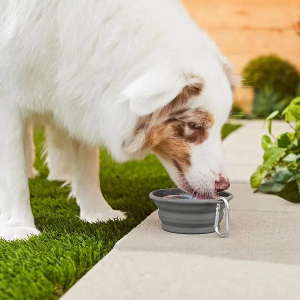 Силіконова складна дорожня миска Derby Collapsible silicone pet bowl, 400 мл сірий - фото 3