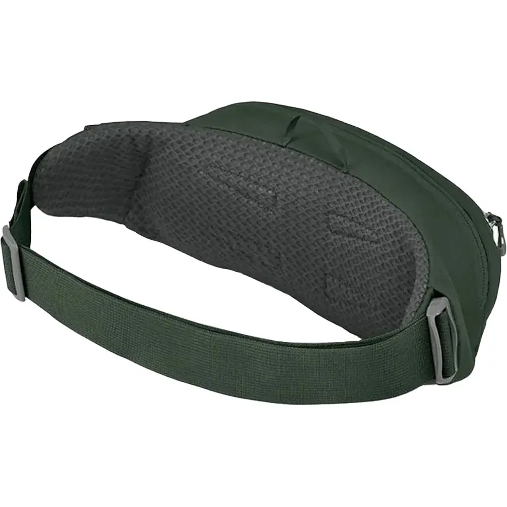 Сумка на пояс Osprey Daylite Waist Green Belt/Green Canopy - фото 3