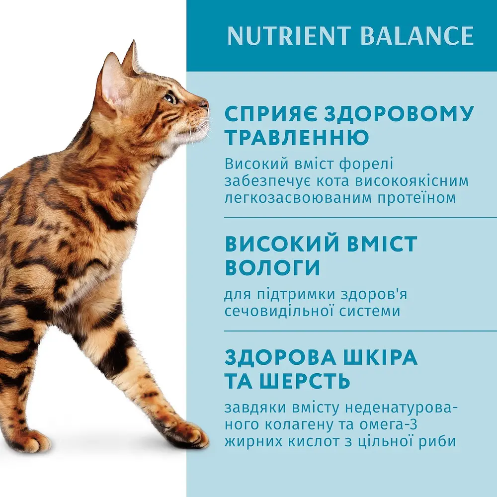 Влажный корм для котов OptiMeal Adult с форелью в кремовом соусе 85 г B2711802 - фото 2