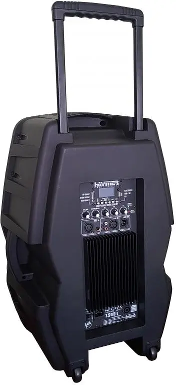 Активная акустическая система BIG HAYMER D15A - фото 4
