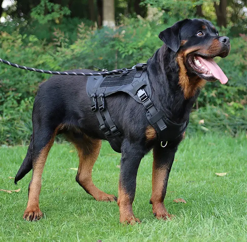 Шлейка для собак Vest, тактичний жилет з ручкою і системою MOLLE, регульований, Чорний S - фото 7