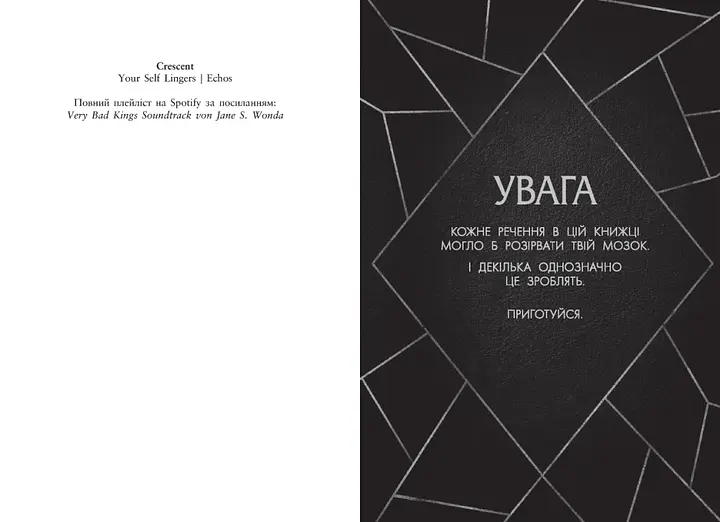 Кінгстонський університет. Дуже погані королі - Вонда Дж.С. (9786170998576)  - фото 2