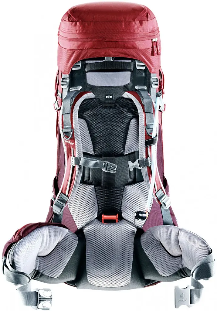Рюкзак Deuter Aircontact Pro 55+15 SL Cranberry-Aubergine (1052-3330017 5005) - фото 3