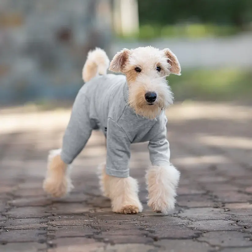 Базовий комбінезон/піжама для собак V.PET.B.R. Dog Jumpsuit CF36 Grey - фото 3