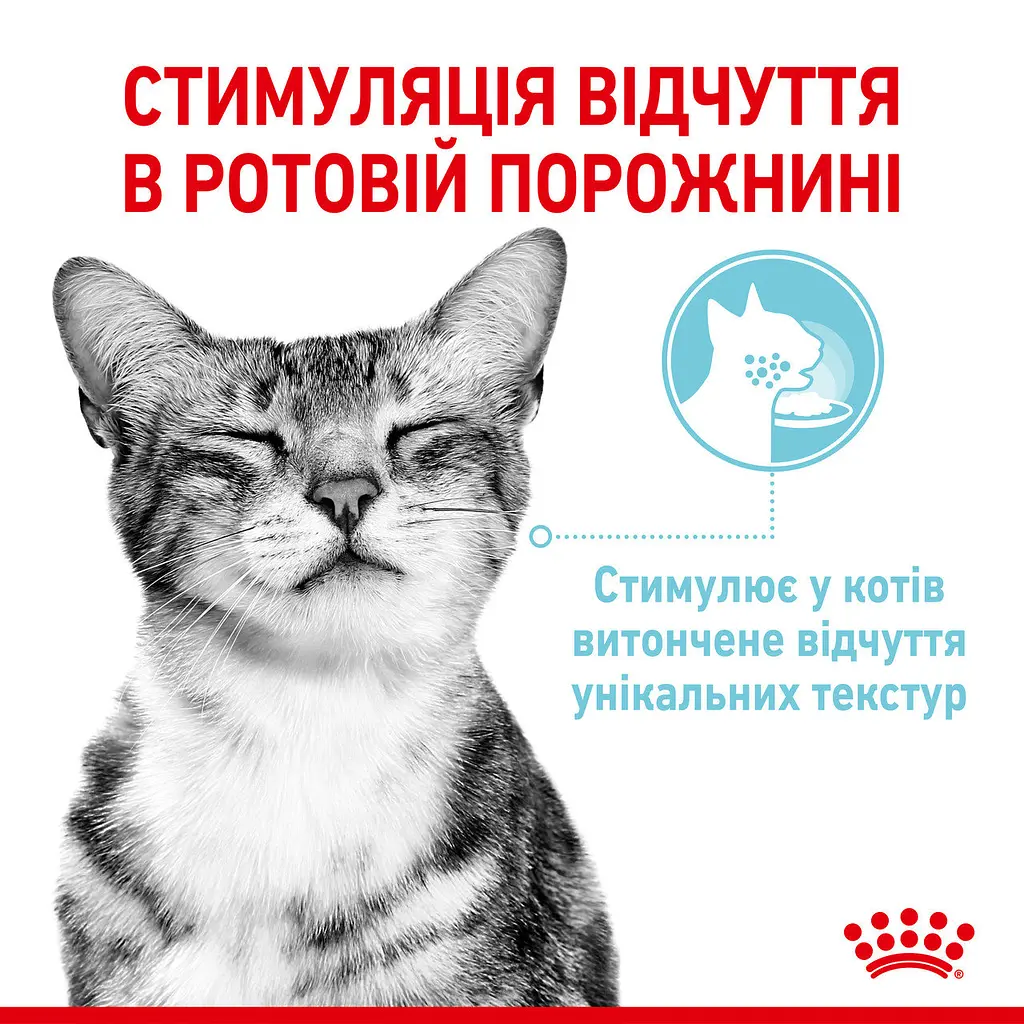 Вологий корм для дорослих котів Royal Canin Sensory Feel Gravy шматочки в соусі 1.02 кг (12 шт. х 85 г) - фото 7