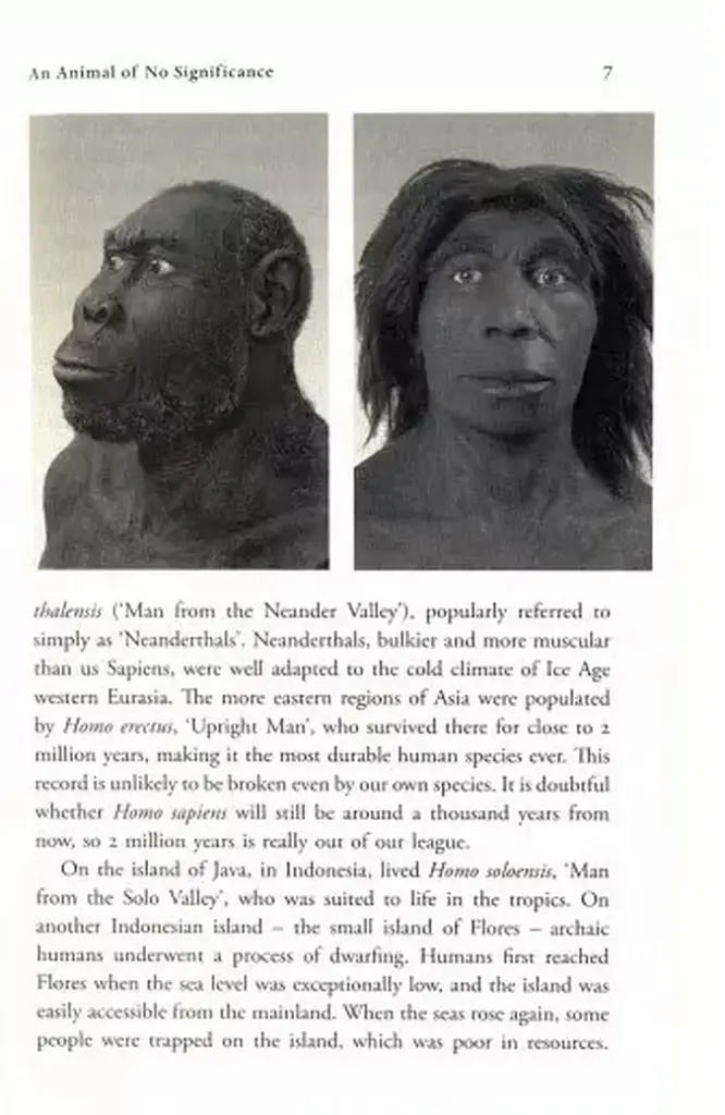 Yuval Noah Harari Box Set - фото 3