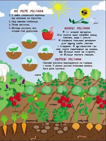 Таємне життя рослин - фото 3