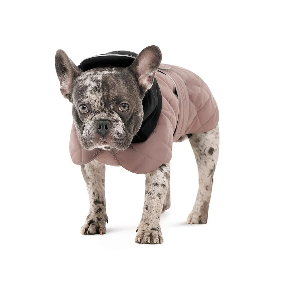 Попона Pet Fashion Max для собак SM - фото 10