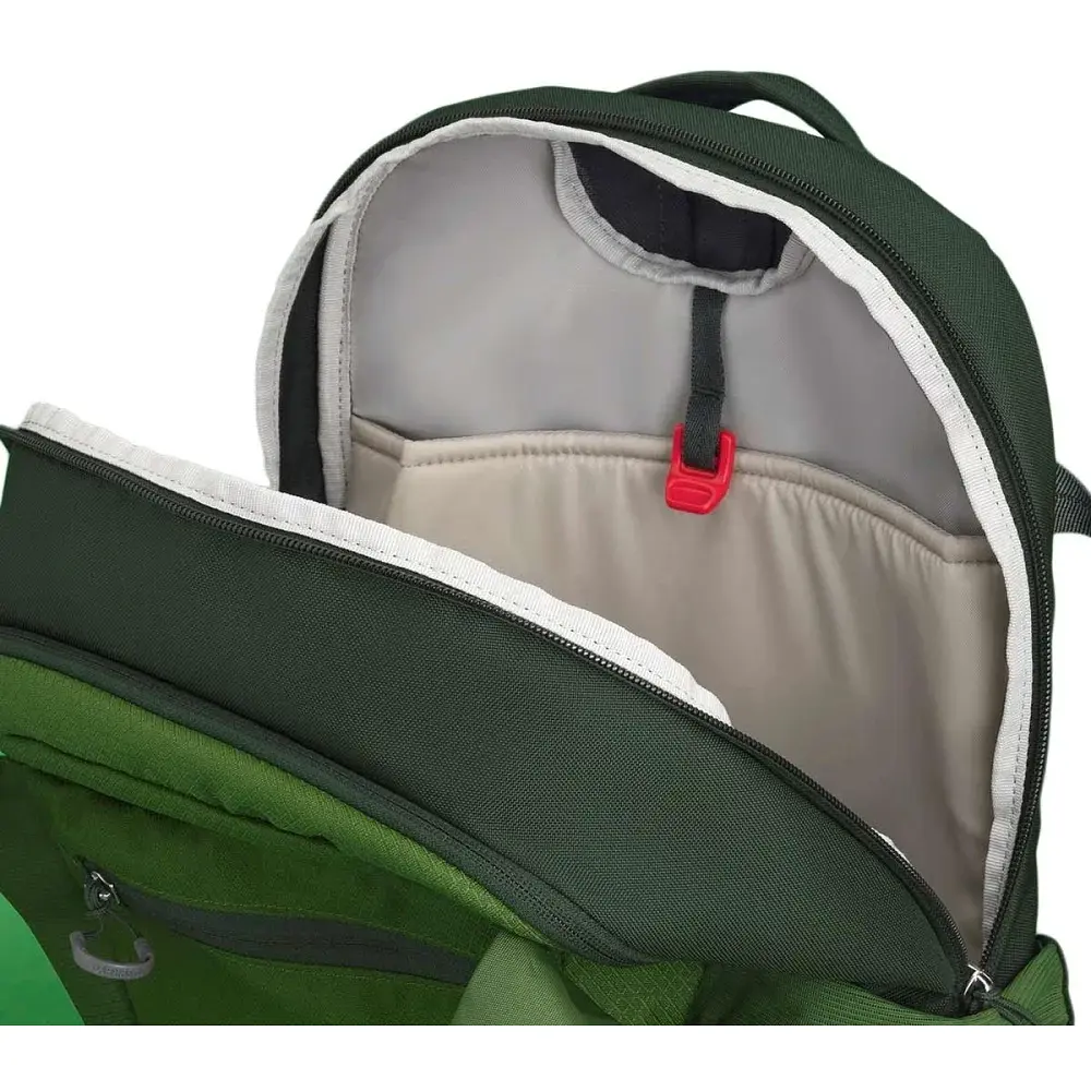 Рюкзак Osprey Daylite Plus Green belt/green canopy - фото 4