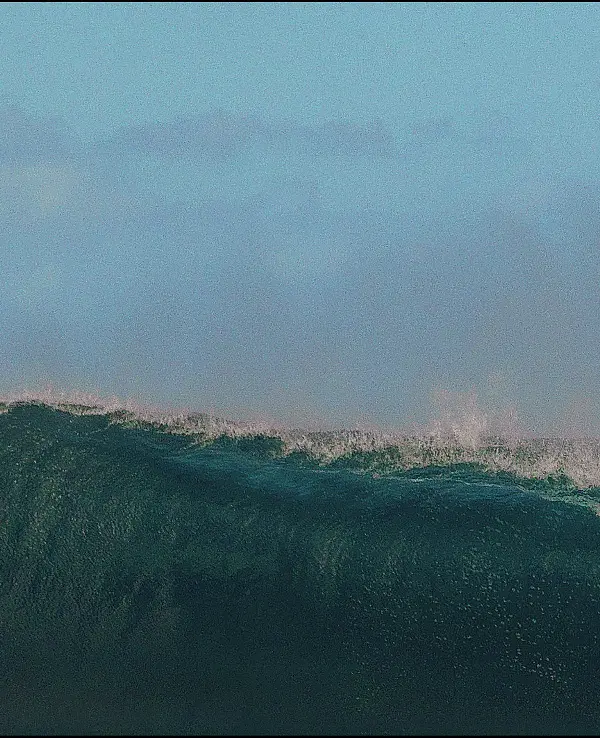 Waves. Pro Surfers and Their World - Том Гілберт - фото 11