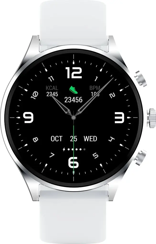 Smart Watch Black Shark S1 Classic (BS-S1C) Silver UA - фото 2