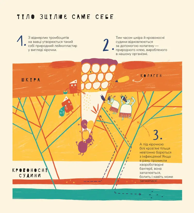 Книжка про вавки - Маріона Толоса Сістере - фото 6