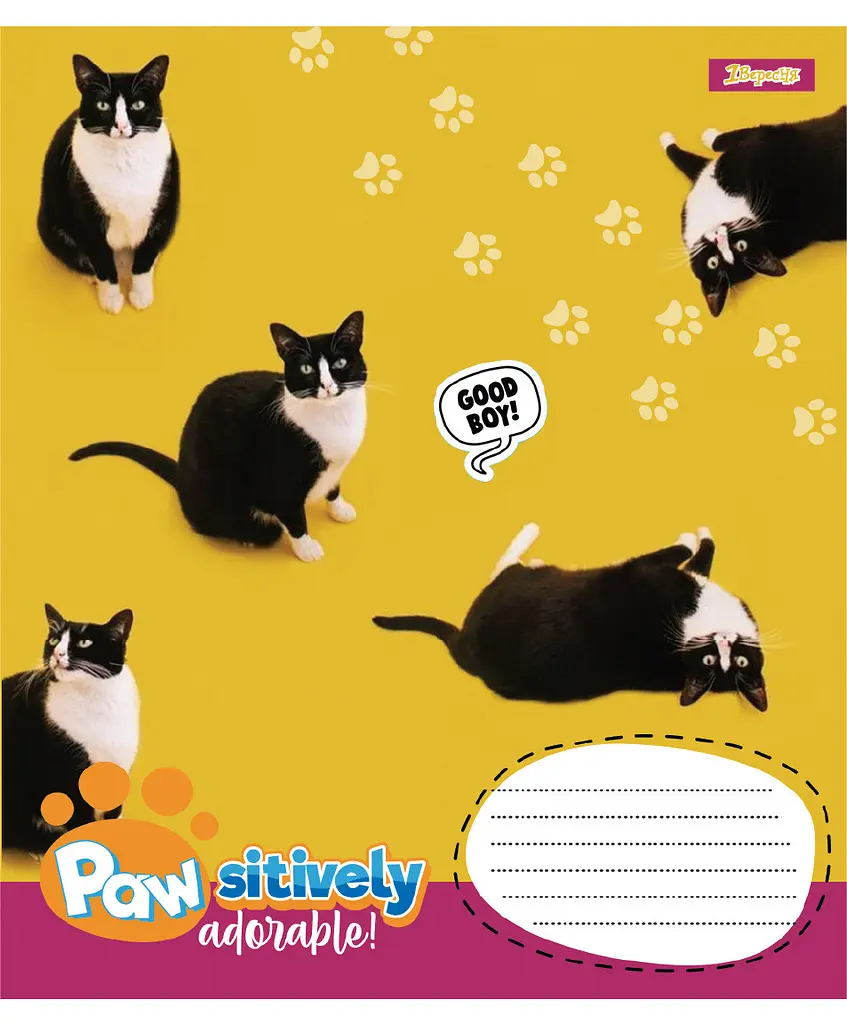 Зошит 1 вересня Pawsitively А5, 24 аркуша в лінію (768241) - фото 3