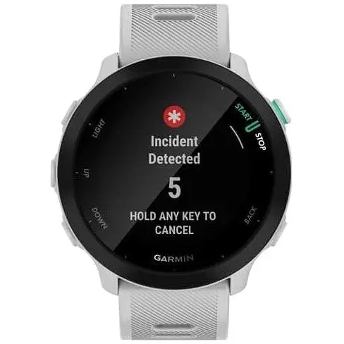 Смарт-часы Garmin Forerunner 55 White (010-02562-11) - фото 8