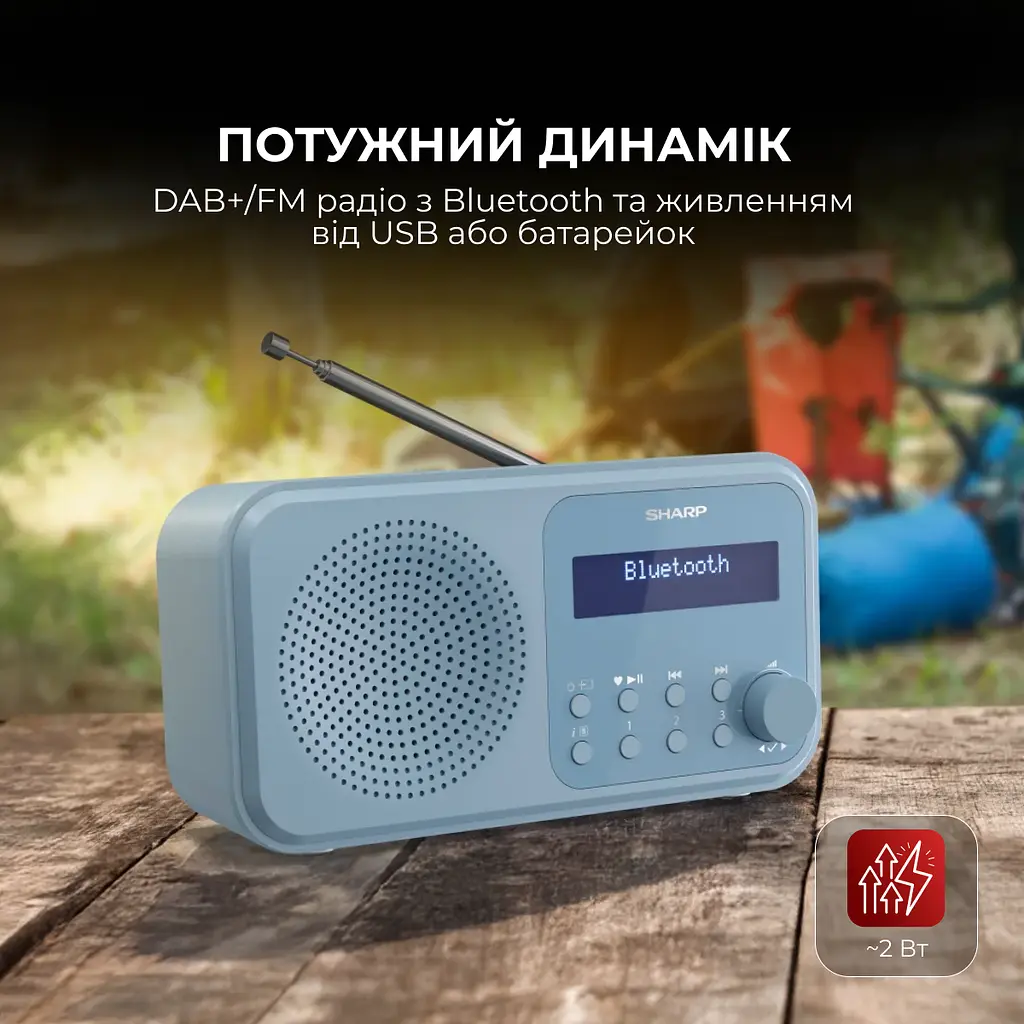 Радіоприймач Sharp DR-P420 Blue - фото 5