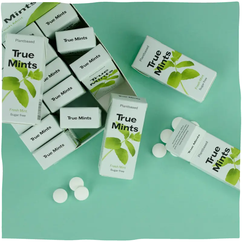 Конфеты True Mints свежая мята 13 г - фото 3