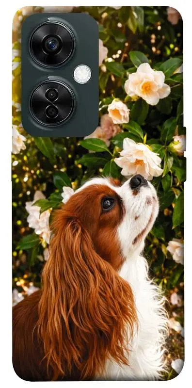 TPU чохол Demsky Flower spaniel для OnePlus Nord CE 3 Lite