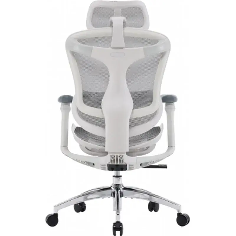 Офісне крісло Sihoo DORO C300L Mesh White (DORO-C300L-A3-102) - фото 3