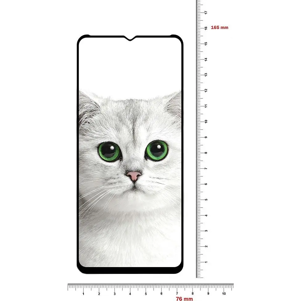 Защитное стекло BeCover для Realme C21Y Black (706904) - фото 3