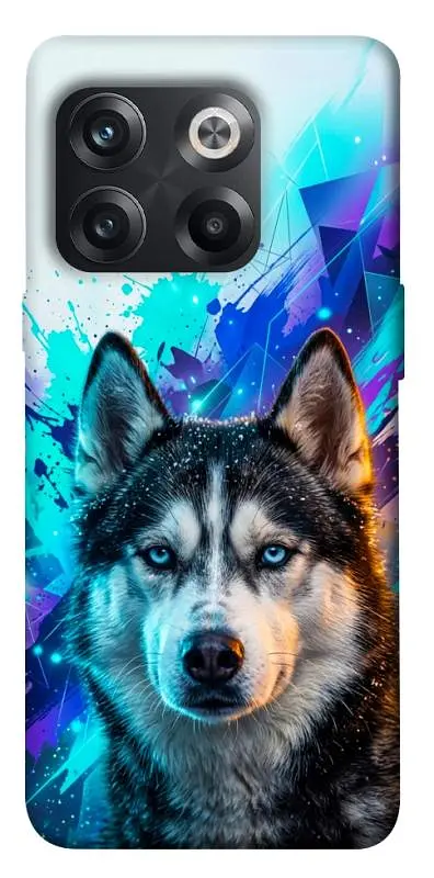 TPU чохол Demsky Husky magic для OnePlus 10T
