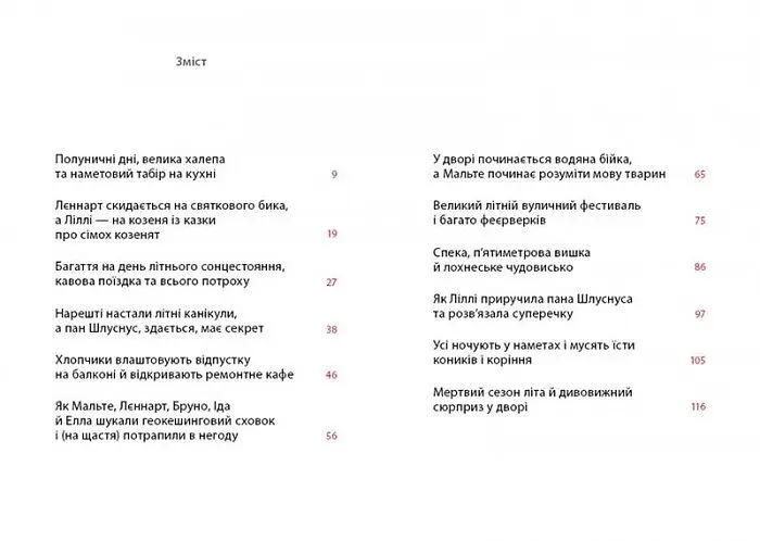 Літо на Бузиновій вулиці - Мартіна Баумбах (С1216002У) - фото 2