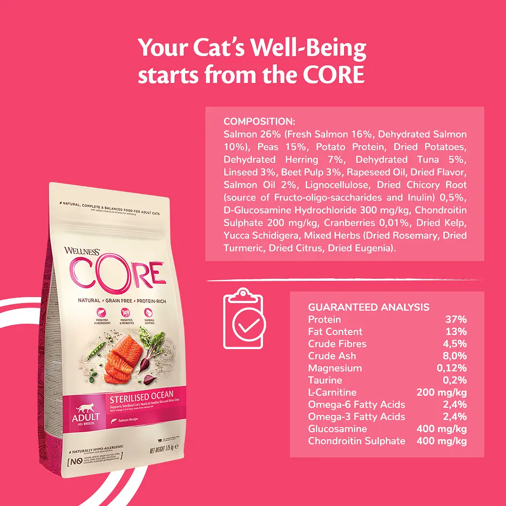 Сухий корм для стерилізованих котів Wellness CORE Sterilised Ocean з лососем, 300г - фото 3