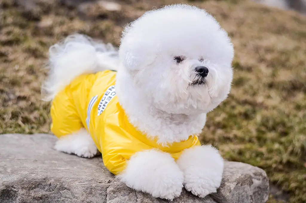Комбінезон Smart Pet Limon - фото 3