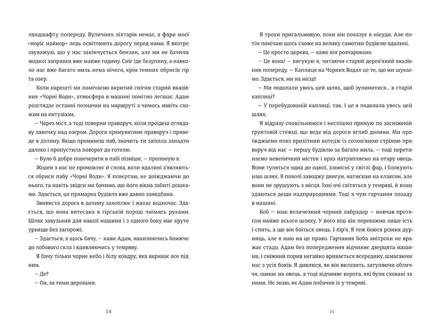 Книга "Камінь. Ножиці. Папір" Тверда Обкладинка Автор Еліс Фіні - фото 4