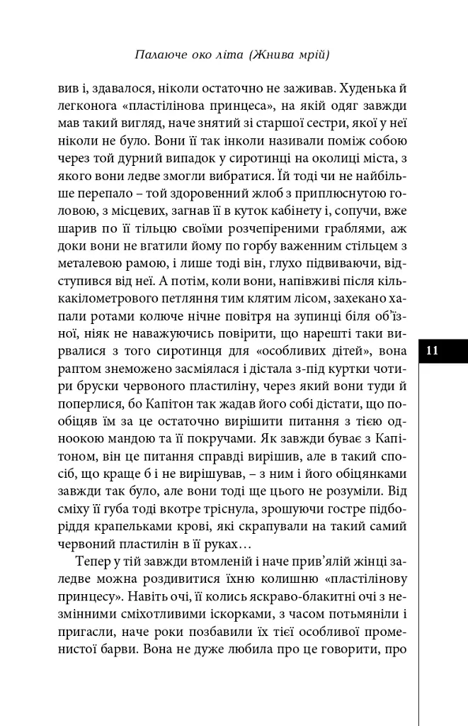 Палаюче око літа (Жнива мрій) - Олексій Жупанський - фото 9