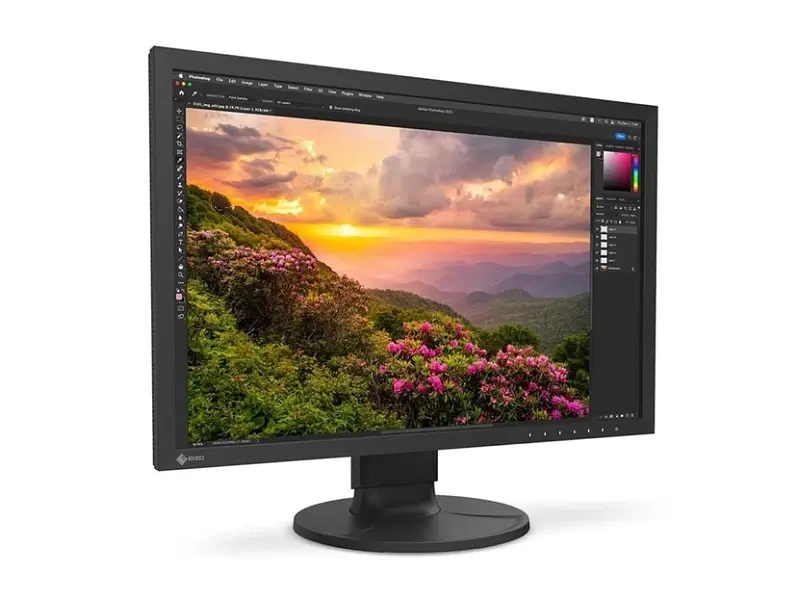 Монітор Eizo ColorEdge (CS2400S) - фото 2