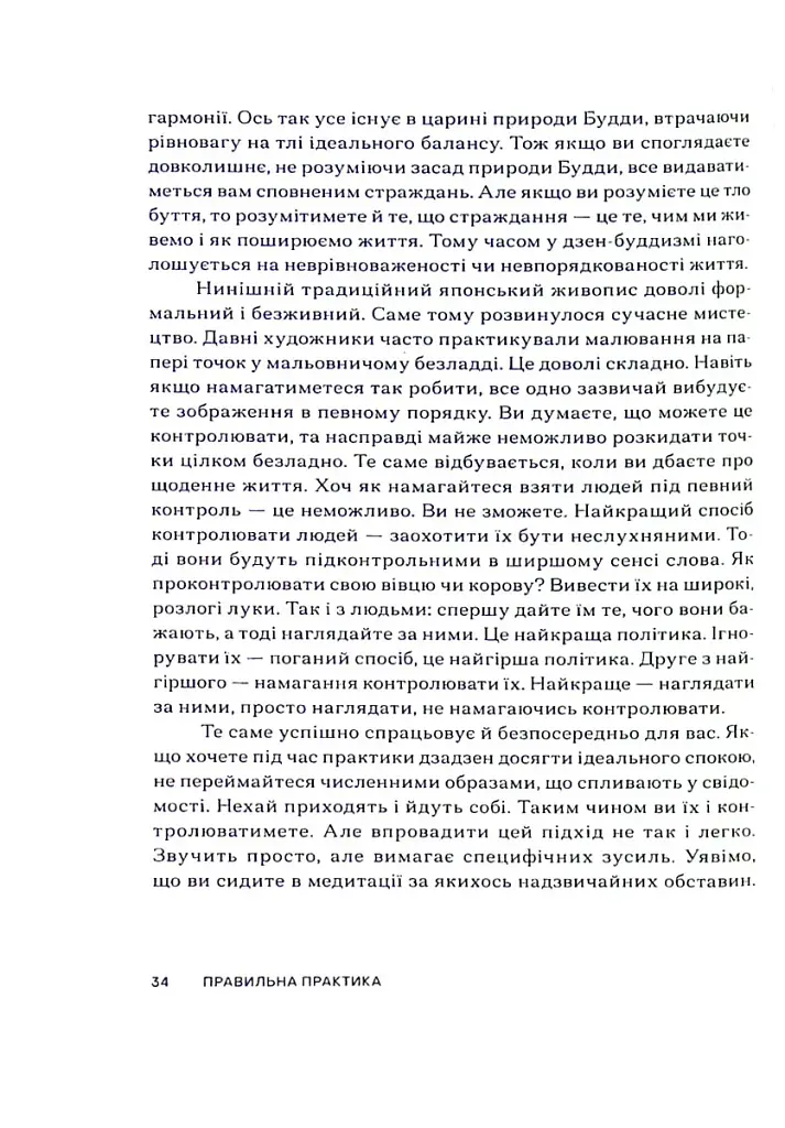Свідомість Дзен. Свідомість початківця - фото 12