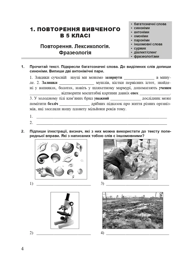 Українська мова. 6 клас. Робочий зошит. Частина 1 (за модельною програмою Голуб Н.Б., Горошкіної О.М.) - фото 3