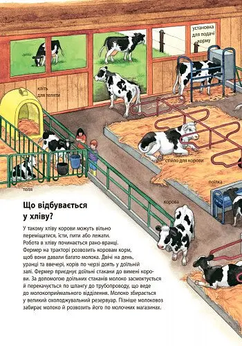 Моя перша мальована енциклопедія Ранок Ферма - Даніела Пруссе (Ч783004У) - фото 7
