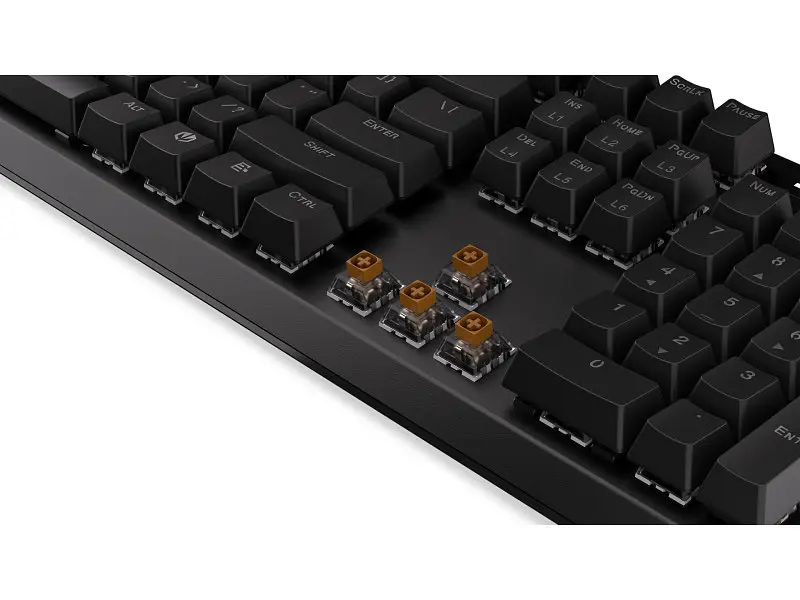 Клавіатура ENDORFY Thock Wireless Brown (EY5A078) Kailh Box Brown - фото 2