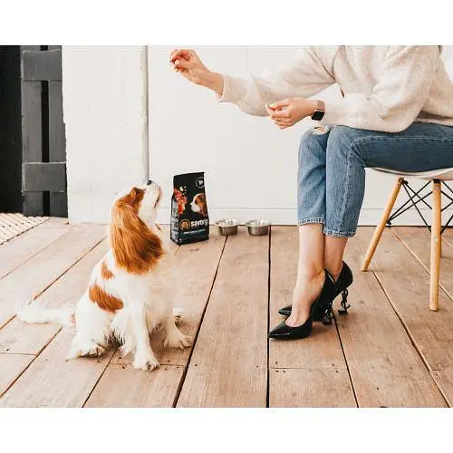 Сухий корм Savory Puppy для цуценят усіх порід, зі свіжою індичкою і куркою, 3 кг - фото 5