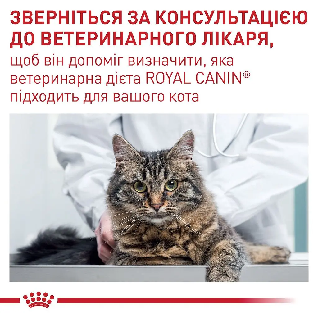 Сухий лікувальний корм для котів старше 7 років, схильних до набору зайвої ваги Royal Canin Mature Consult Balance, 1,5 кг - фото 7
