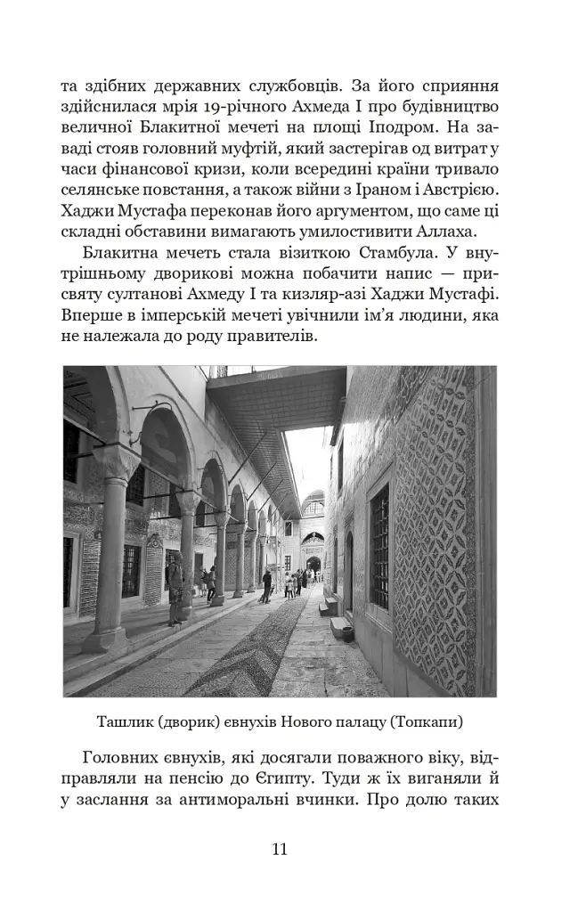 Гарем османських султанів доби «Жіночого султанату» - Олександра Шутко - фото 11