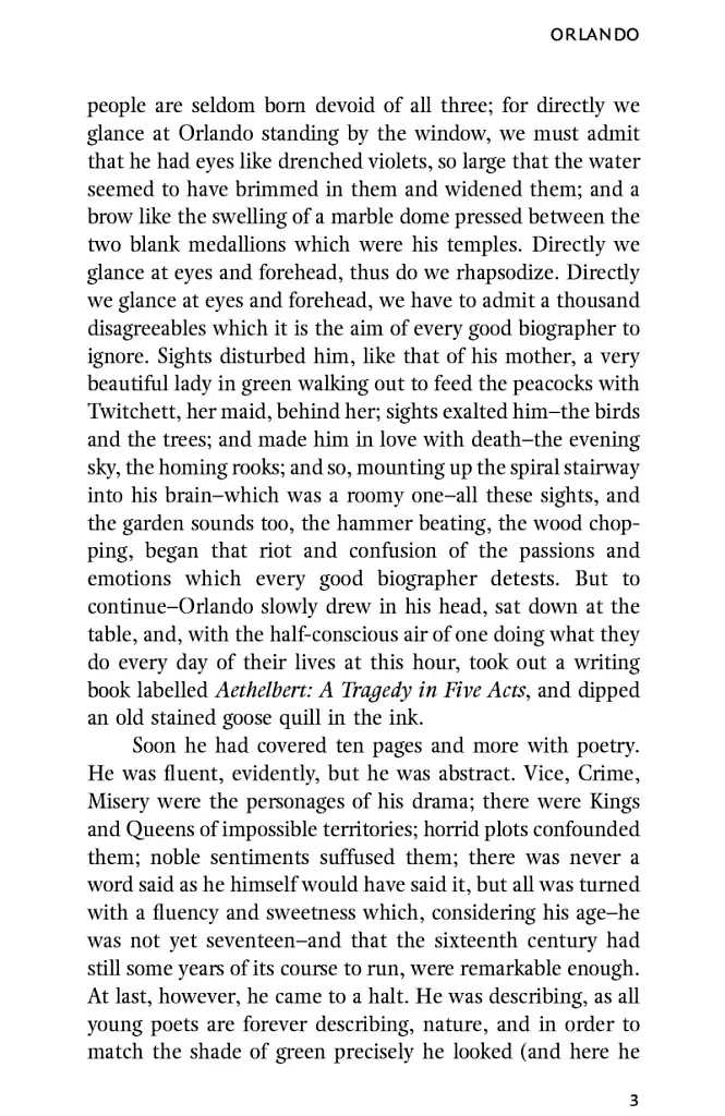 Orlando - фото 5