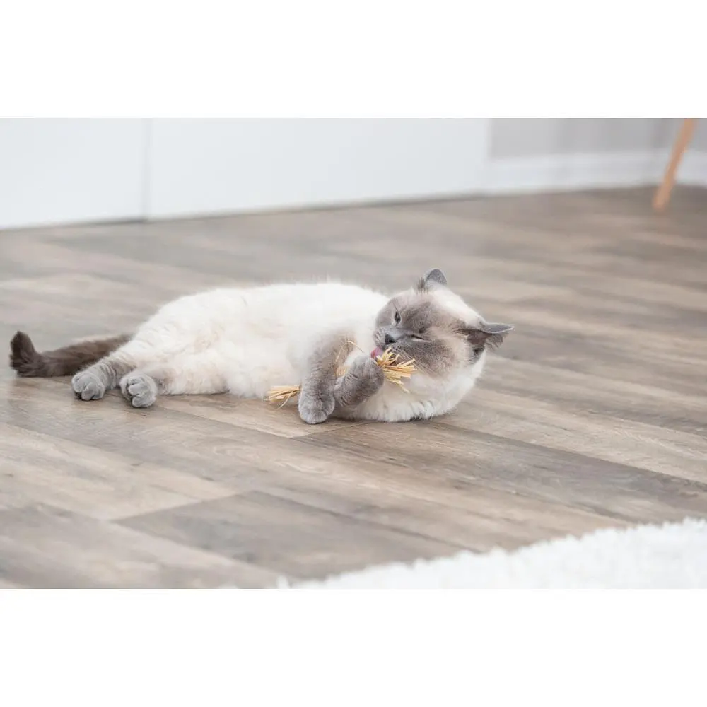 Іграшка для котів Trixie паличка з мататабі з кисточками 24 см - фото 8