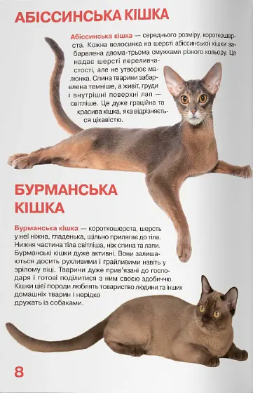 Велика книжка. Кішки - Олег Зав'язкин - фото 3