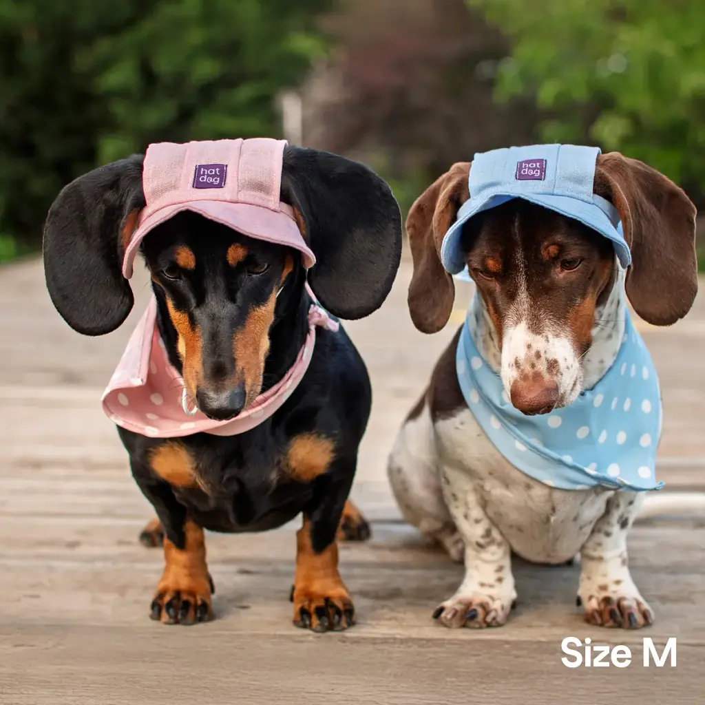 Панама для собак Hat-Dog ніжно-блакитна (L) - фото 5