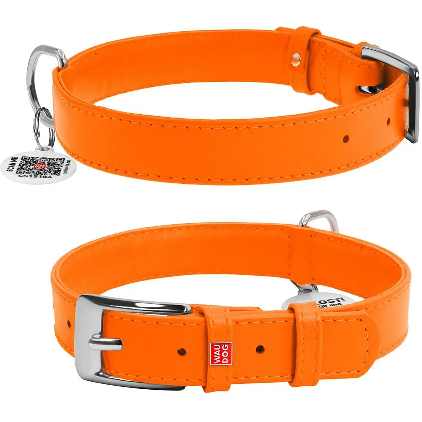 Ошейник для собак Waudog Glamour, кожаный, с QR паспортом, 38-49х2,5 см, оранжевый - фото 3