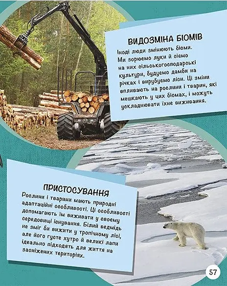 Енциклопедія юних розумників - Ненсі Дікманн - фото 12