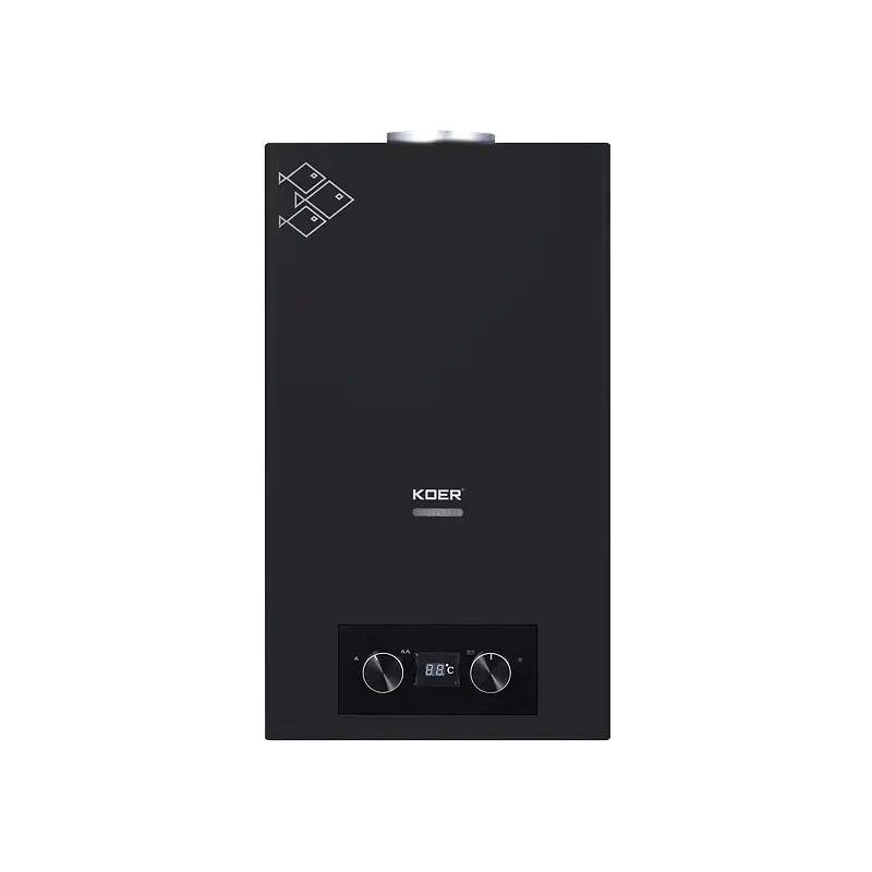 Газова колонка Koer Kwh.G0110 димохідна 10 л/хв, black KR5554 - фото 2