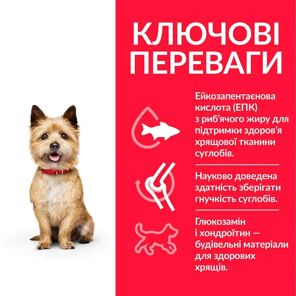 Сухой корм Hill’s SP Adult Healthy Mobility Small&Mini для собак малых и мини пород с курицей 1.5 кг - фото 3