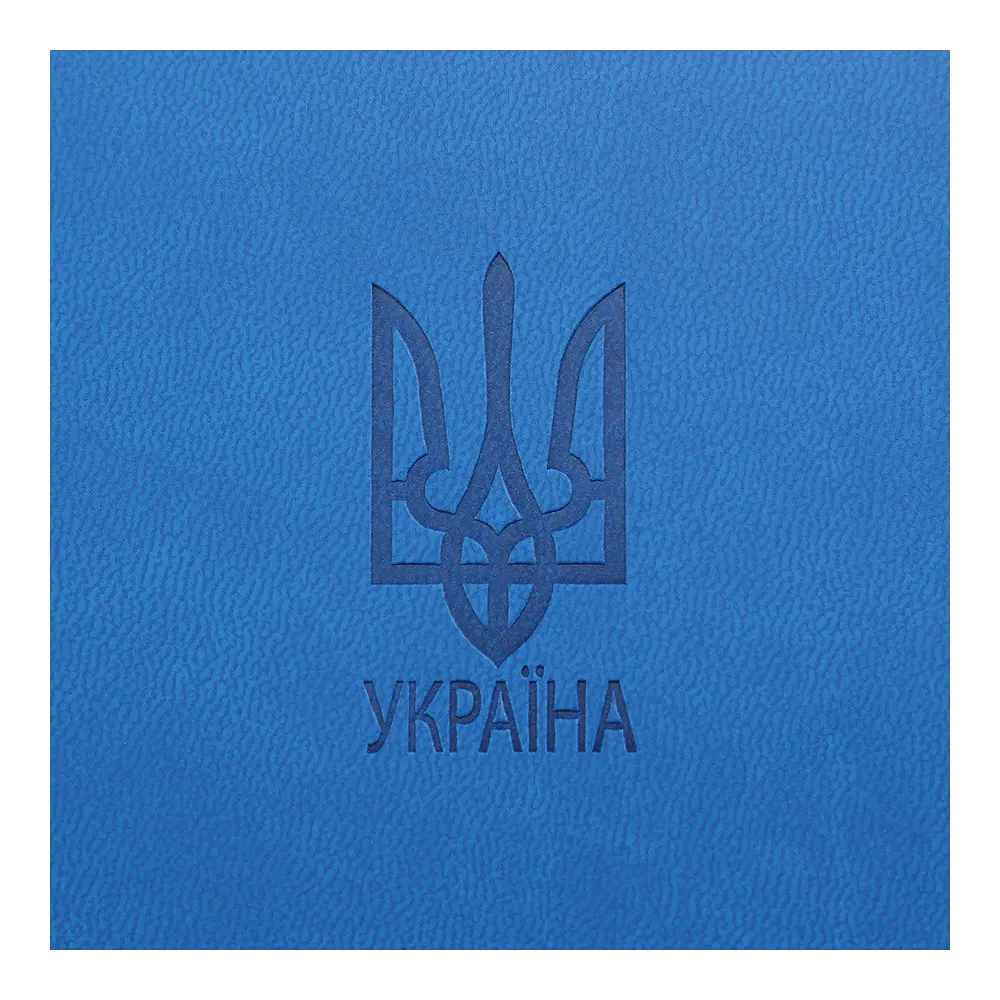 Щоденник датований Buromax Heraldry 2026 A5 штучна шкіра/поролон світло-синій (BM.21128-02) - фото 6
