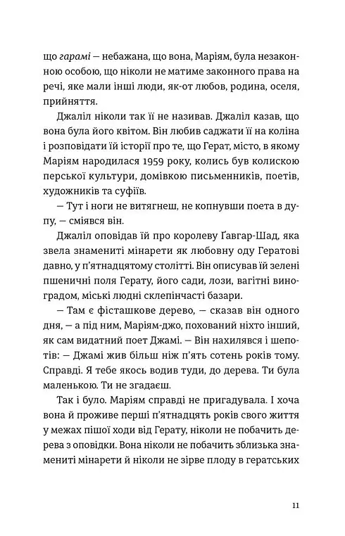 Тисяча осяйних сонць - Халед Госсейні - фото 4